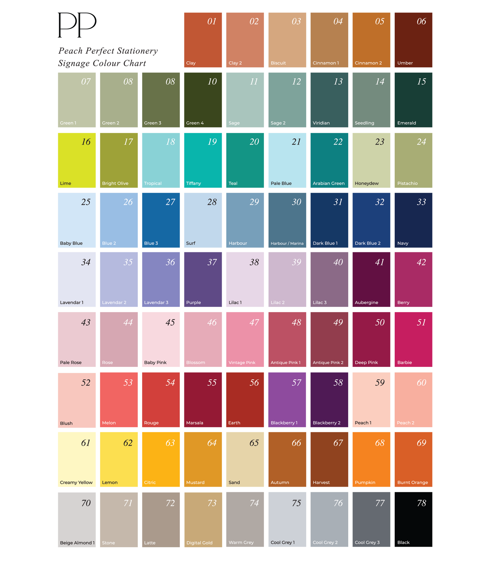 Peach Perfect 2025 colour chart signage 