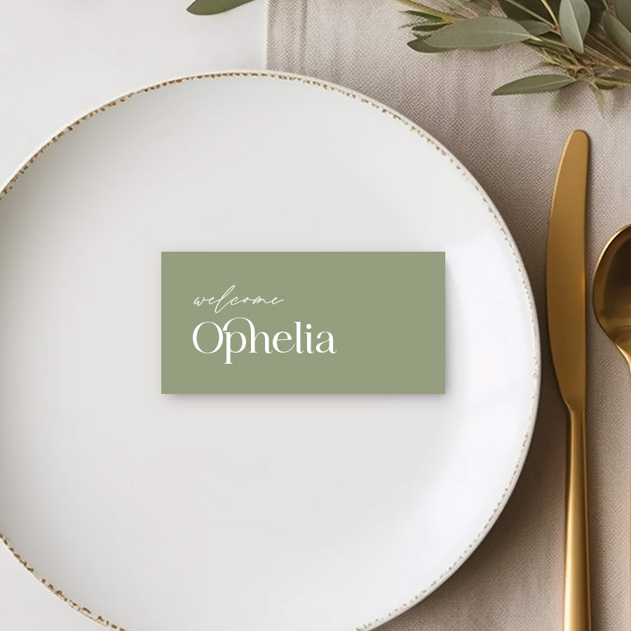 Flat rectangle shape small wedding place cards with modern font style in green and white. Peach Perfect Australia.